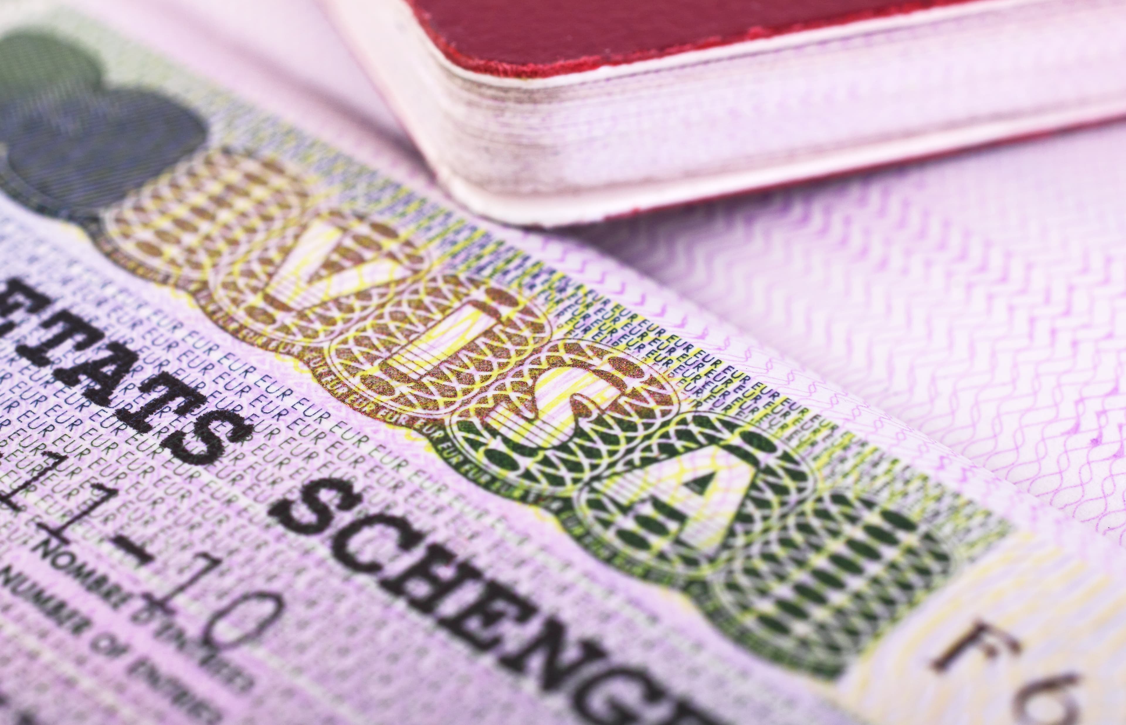 Immigration Law Services